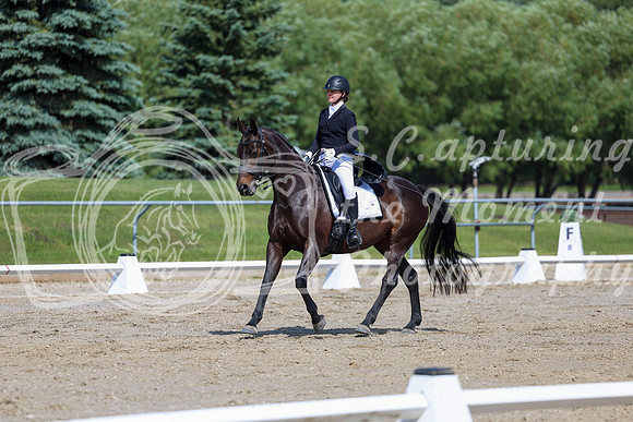 2025 - Dressage Festival - Saturday July 5th - 03638