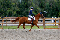 2025 - Haylee - Picco Horse Show - Saturday July 26th 01740