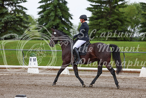 2025 - Dressage Festival - Sunday July 6th - 01900