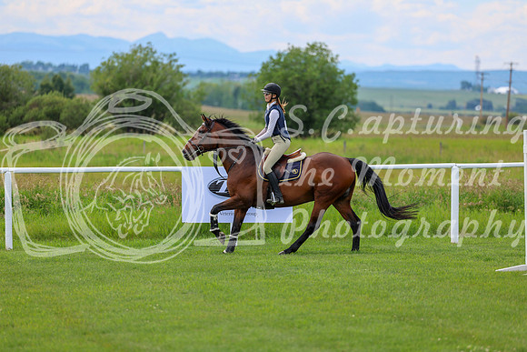 2025 - Shea - Teesdale - Thursday July 24th - 04157