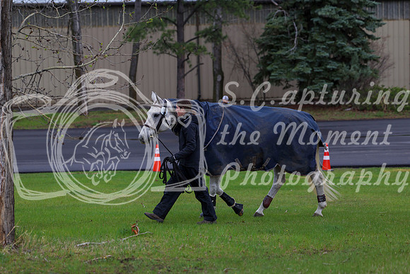 2025 - Shea - Bow Valley II - Thursday May 15th - 00478