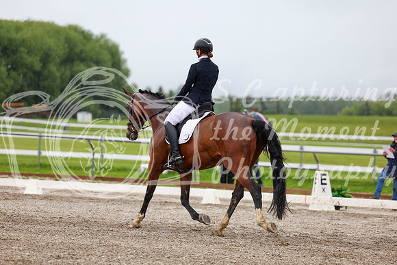 2025 - Dressage Festival - Sunday July 6th - 04425
