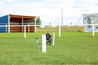 2025 - Shea - Teesdale - Thursday July 24th - 00020