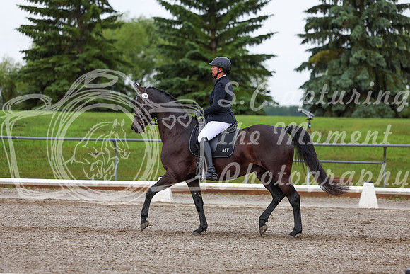 2025 - Dressage Festival - Sunday July 6th - 01894
