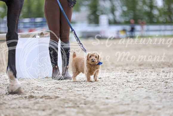 2025 - Julia - Blue Sky Classic - Sunday, May 18th 40827