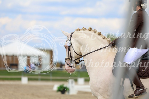 2025 - Dressage Festival - Saturday July 5th - 12069