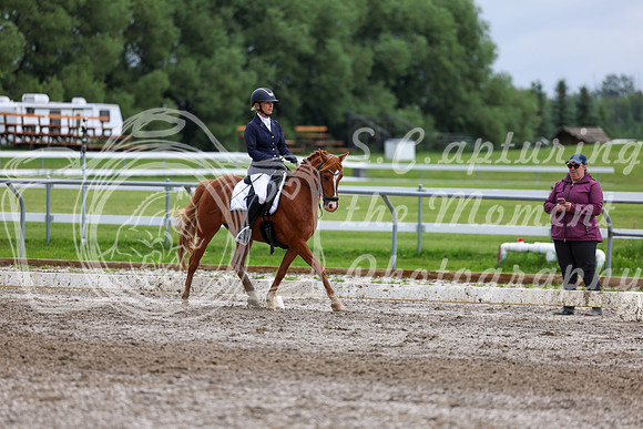 2025 - Dressage Festival - Sunday July 6th - 12311