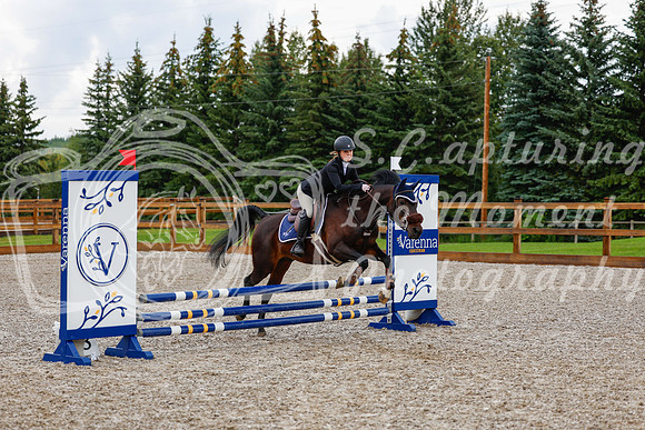 2025 - Haylee - Picco Horse Show - Sunday July 27th 00590