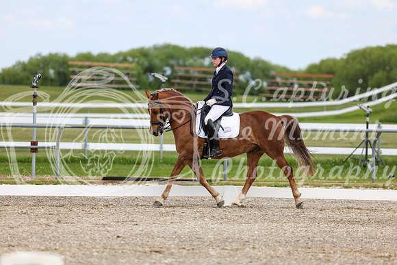 2025 - Dressage Festival - Saturday July 5th - 11827