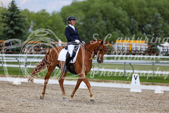 2025 - Dressage Festival - Saturday July 5th - 12469