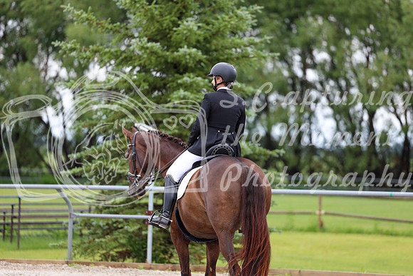 2025 - Dressage Festival - Sunday July 6th - 09566