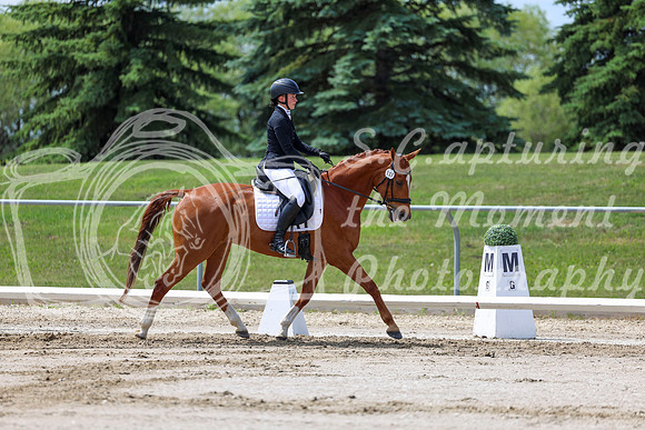 2025 - Dressage Festival - Saturday July 5th - 07866