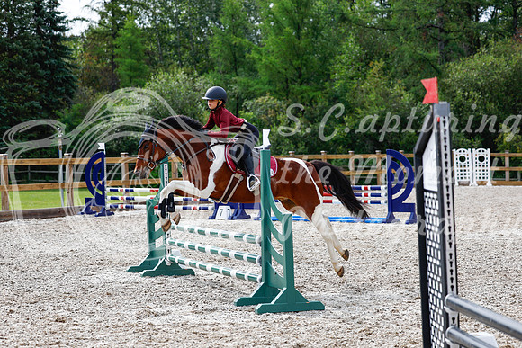 2025 - Haylee - Picco Horse Show - Friay July 25th 00880