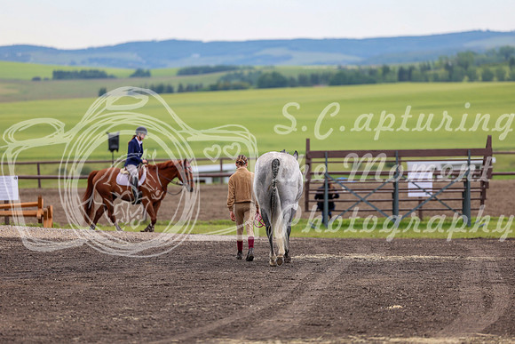 2025 - Shea - Teesdale - Thursday July 24th - 00013