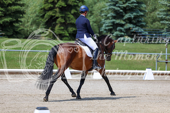 2025 - Dressage Festival - Saturday July 5th - 06110