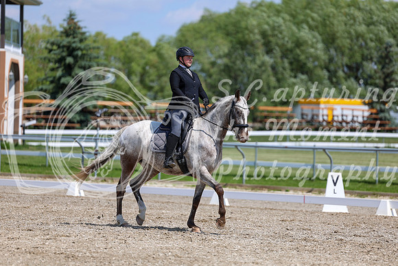 2025 - Dressage Festival - Saturday July 5th - 09009