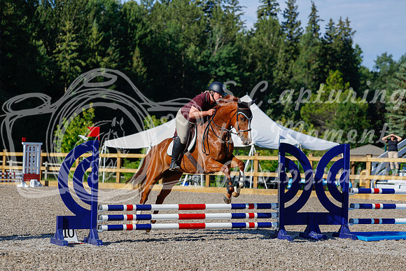 2025 - Haylee - Picco Horse Show - Thursday July 24th 00242
