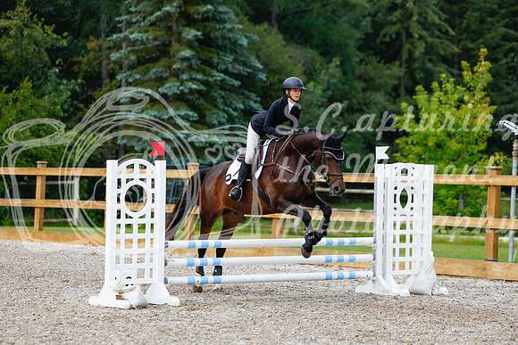 2025 - Haylee - Picco Horse Show - Sunday July 27th 02095