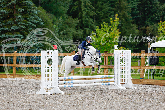 2025 - Haylee - Picco Horse Show - Sunday July 27th 00693