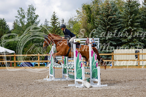 2025 - Haylee - Picco Horse Show - Sunday July 27th 02679