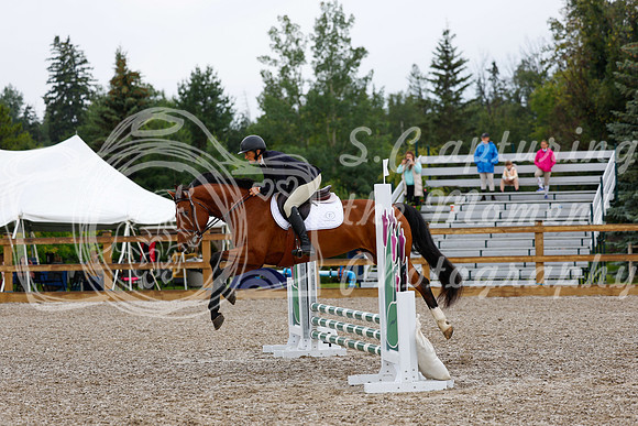 2025 - Haylee - Picco Horse Show - Sunday July 27th 00473