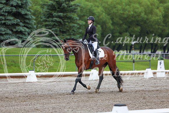 2025 - Dressage Festival - Sunday July 6th - 00831