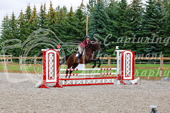 2025 - Haylee - Picco Horse Show - Saturday July 26th 06630