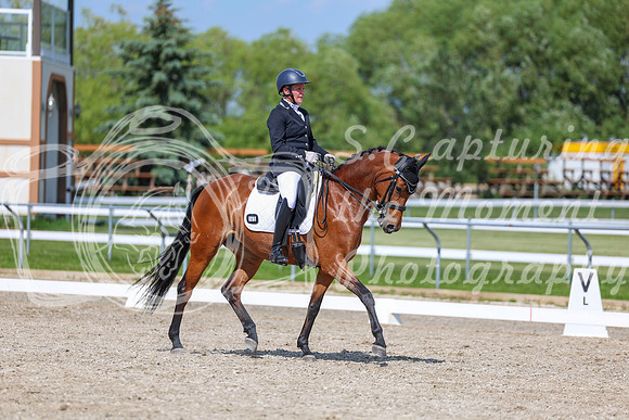 2025 - Dressage Festival - Saturday July 5th - 15514