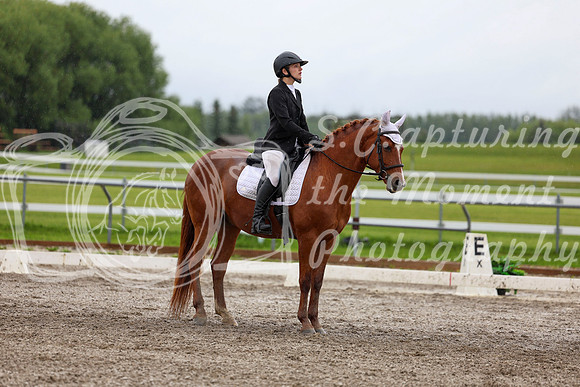 2025 - Dressage Festival - Sunday July 6th - 06095
