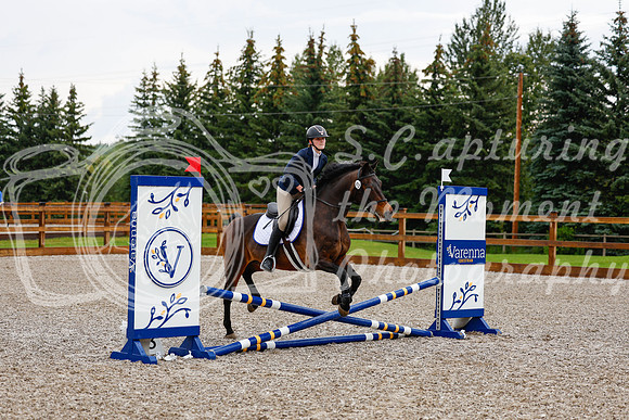2025 - Haylee - Picco Horse Show - Sunday July 27th 00245