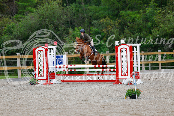 2025 - Haylee - Picco Horse Show - Sunday July 27th 03638