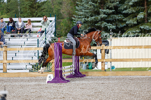 2025 - Haylee - Picco Horse Show - Friay July 25th 00624