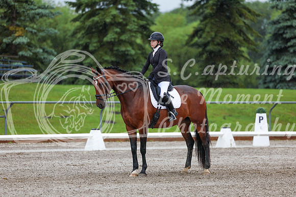 2025 - Dressage Festival - Sunday July 6th - 00840