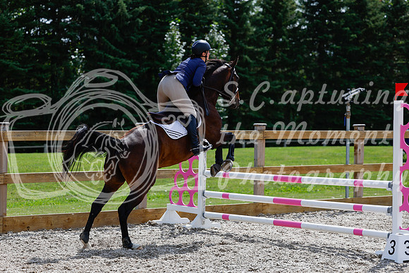 2025 - Haylee - Picco Horse Show - Thursday July 24th 02651