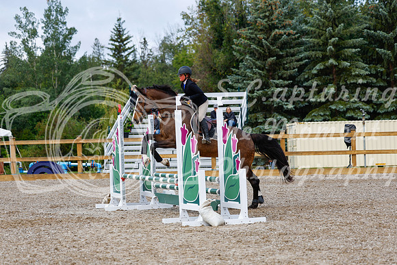 2025 - Haylee - Picco Horse Show - Sunday July 27th 02300