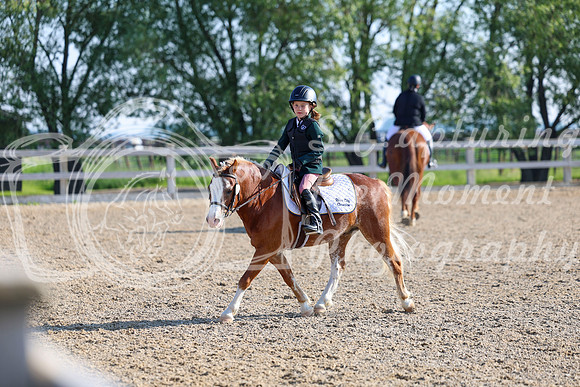 2025 - Dressage Festival - Saturday July 5th - 00005