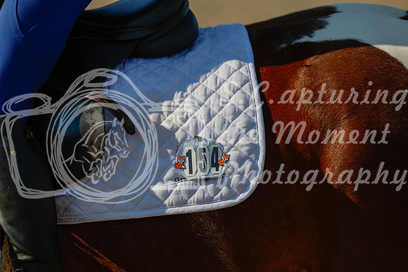2025 - Haylee - Picco Horse Show - Thursday July 24th 00545