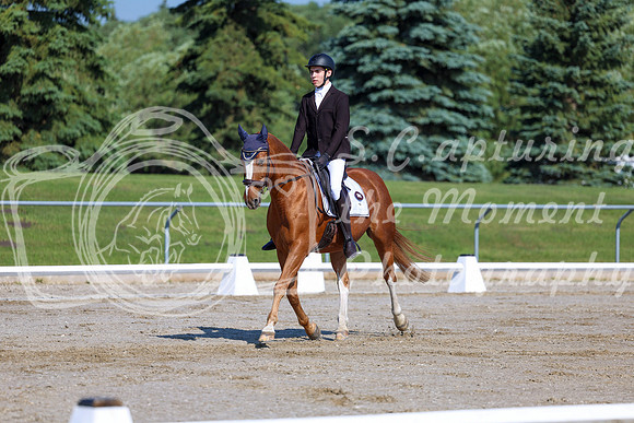2025 - Dressage Festival - Saturday July 5th - 01697