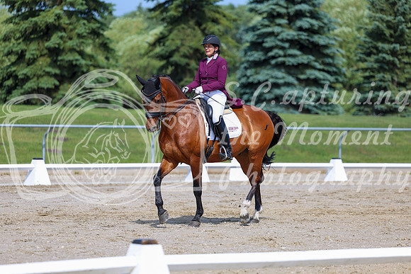 2025 - Dressage Festival - Saturday July 5th - 03207