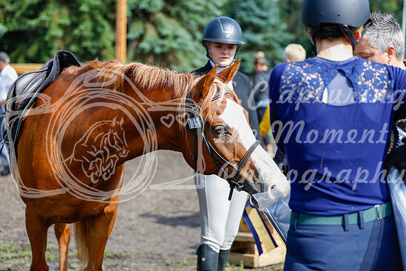 2025 - Haylee - Picco Horse Show - Sunday July 27th 02394