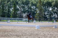 2025 - Dressage Festival - Saturday July 5th - 02325