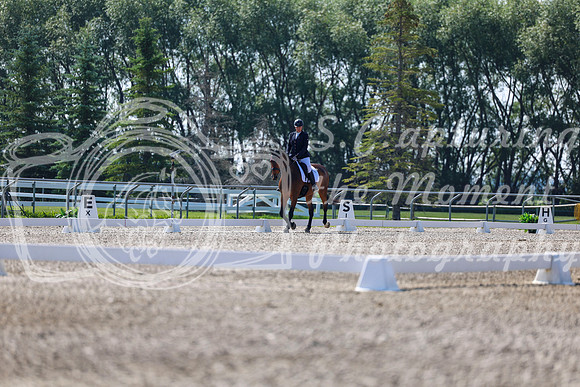 2025 - Dressage Festival - Saturday July 5th - 02325