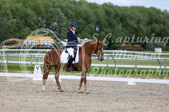 2025 - Dressage Festival - Saturday July 5th - 11823