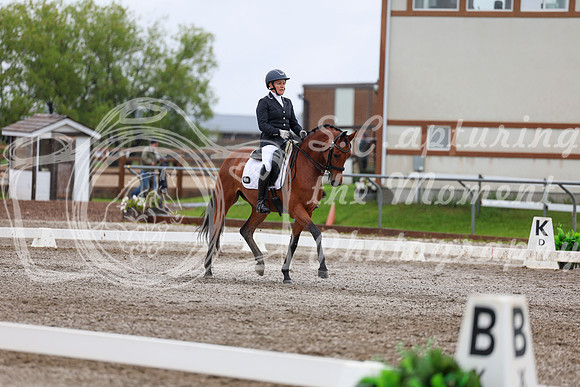 2025 - Dressage Festival - Sunday July 6th - 06507