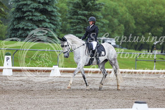 2025 - Dressage Festival - Sunday July 6th - 03870