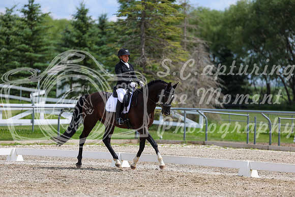 2025 - Dressage Festival - Saturday July 5th - 11468