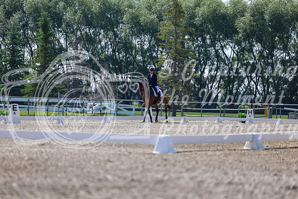 2025 - Dressage Festival - Saturday July 5th - 02321