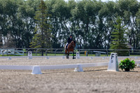 2025 - Dressage Festival - Saturday July 5th - 02360