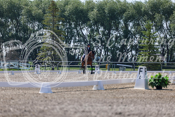 2025 - Dressage Festival - Saturday July 5th - 02360