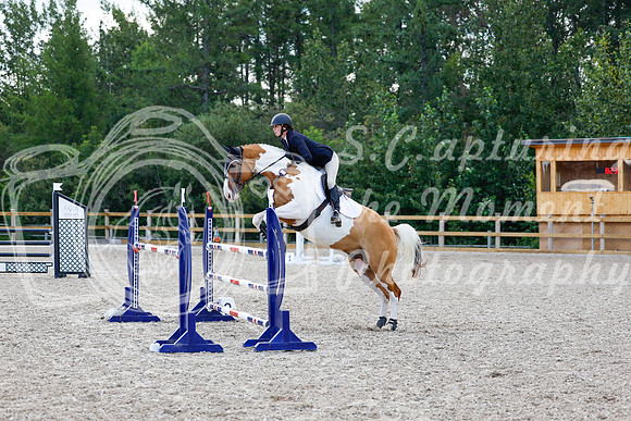 2025 - Haylee - Picco Horse Show - Sunday July 27th 05046